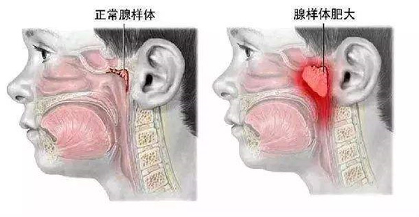 未标题-7.jpg