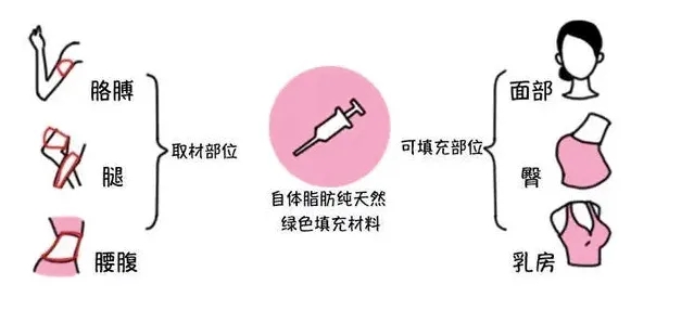 640.webp (2).jpg
