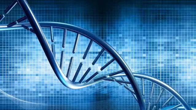 临床分子病理实验室二代基因测序检测专家共识