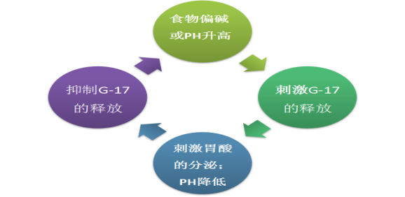 图片 10