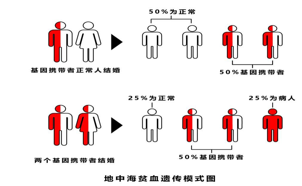 图片45.jpg